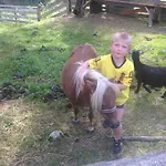 Hammerwirt - Forellenhof 3* Untertauern
