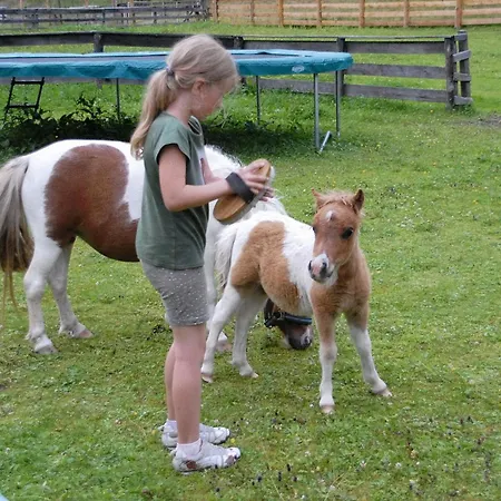 Hammerwirt - Forellenhof ホテル 3*