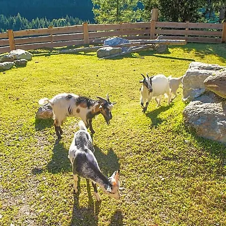 Hotel Hammerwirt - Forellenhof Untertauern