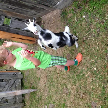 Hammerwirt - Forellenhof 3* Untertauern