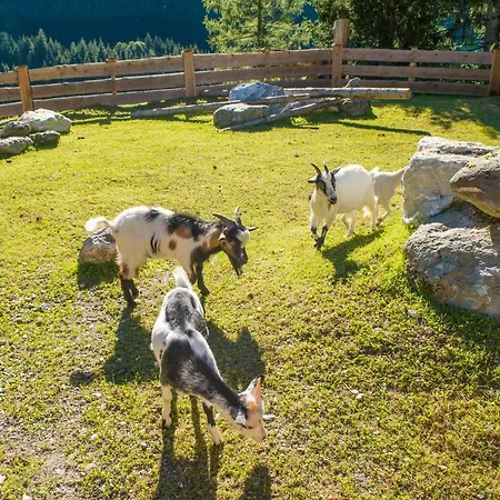 Hammerwirt - Forellenhof 3*