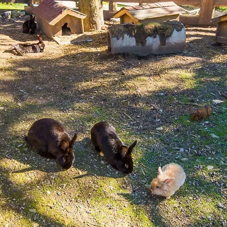 Szálloda Hammerwirt - Forellenhof Untertauern