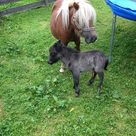 Hammerwirt - Forellenhof Szálloda Untertauern