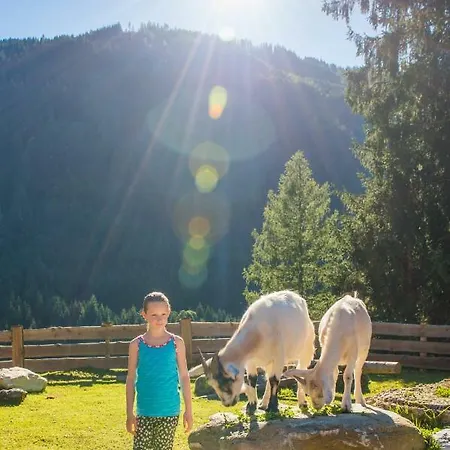 ホテル Hammerwirt - Forellenhof ウンタータウエルン