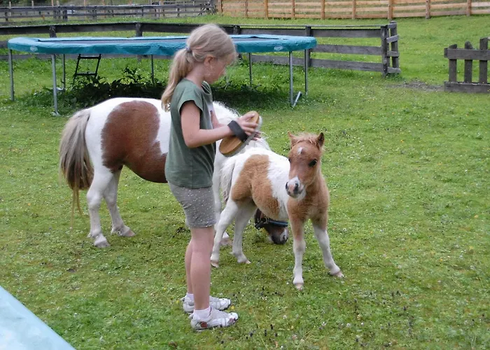 Hammerwirt - Forellenhof Hotel 3*