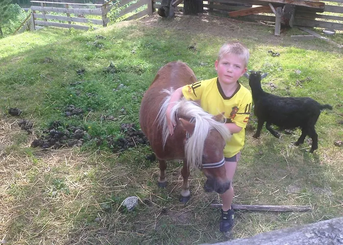 Hammerwirt - Forellenhof 3* Untertauern