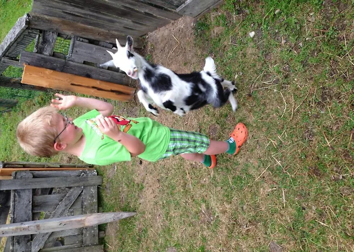 Hammerwirt - Forellenhof 3* Untertauern