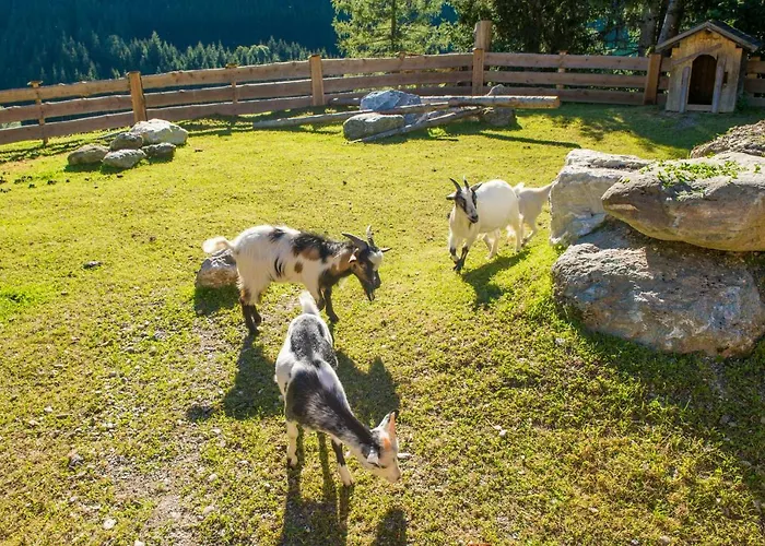 Hammerwirt - Forellenhof 3*