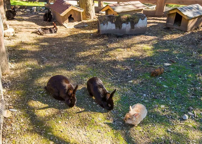 Hotel Hammerwirt - Forellenhof Untertauern
