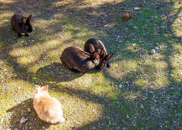 Hammerwirt - Forellenhof Hotel